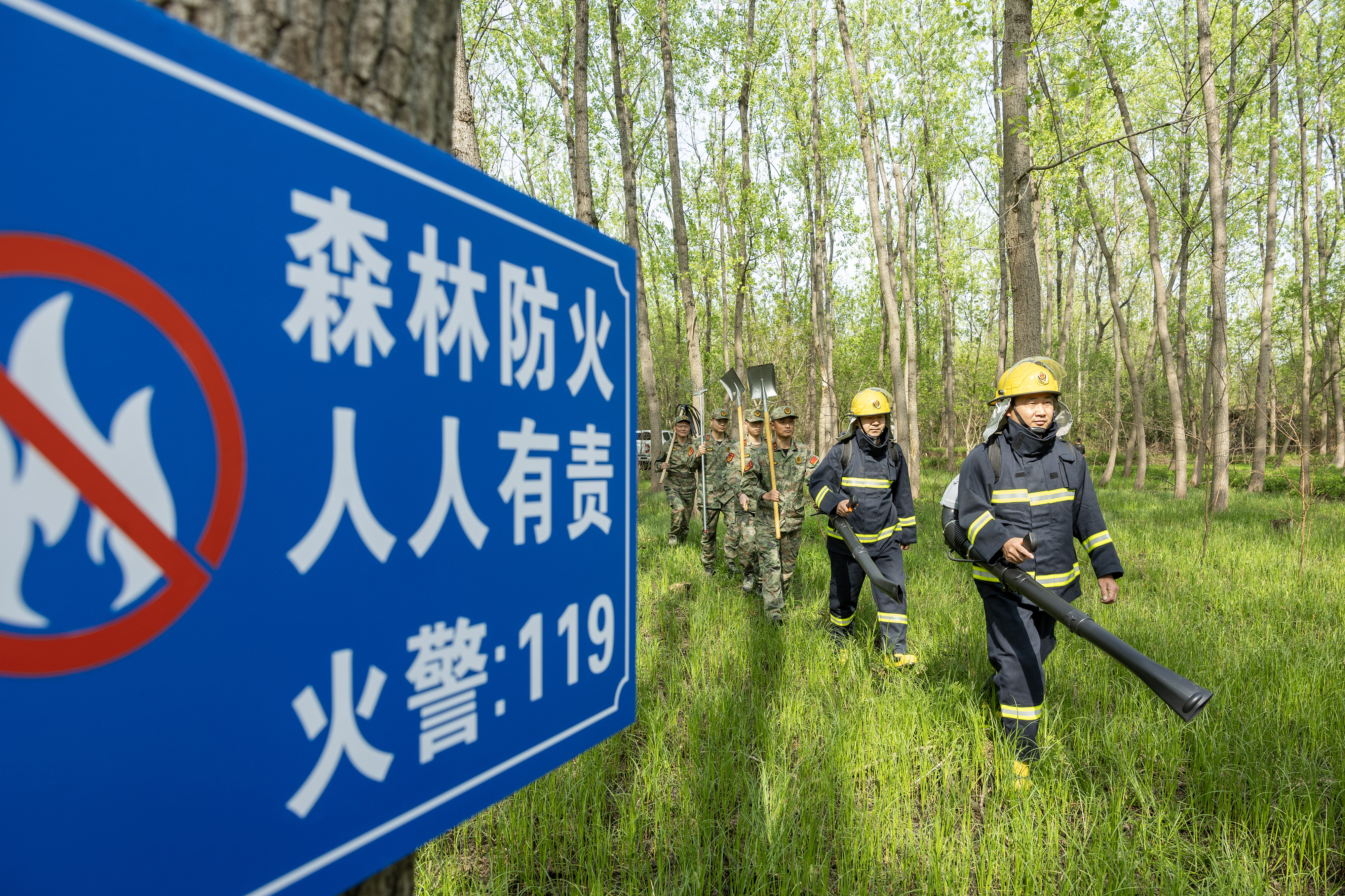 2024年4月9日，合肥市大房郢水庫水源保護地廬陽經(jīng)濟開發(fā)區(qū)段，基干民兵正在林間巡查火災(zāi)隱患。