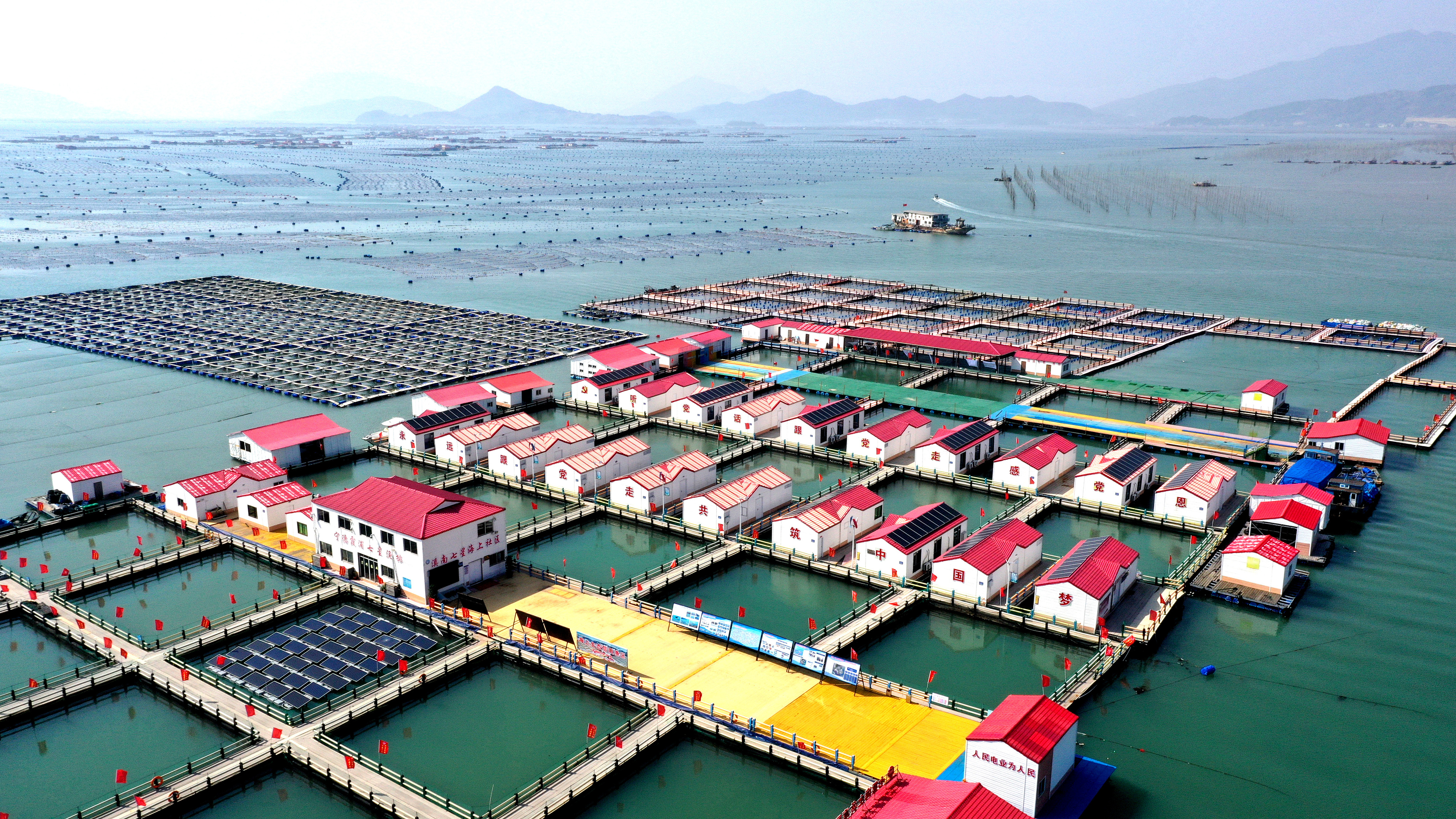 2024年3月20日，福建省寧德市，霞浦縣溪南鎮(zhèn)七星村漁排養(yǎng)殖示范區(qū)，漁民駕駛養(yǎng)殖船進行海參養(yǎng)殖作業(yè)。