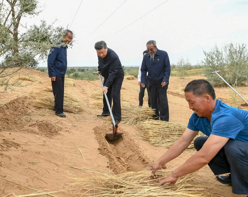 2019年8月21日，習近平來到甘肅省武威市古浪縣八步沙林場，實地察看當地治沙造林、生態(tài)保護等情況。新華社記者 謝環(huán)馳 攝
