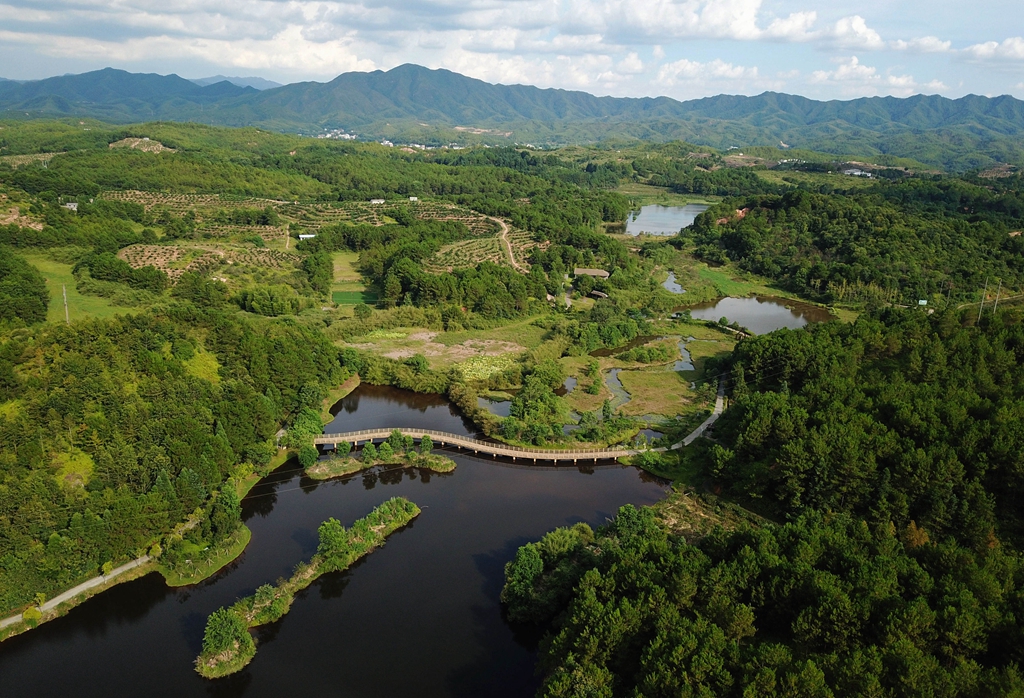 福建省龍巖市長汀縣的長汀汀江國家濕地公園景色（2020年7月28日攝，無人機照片）。新華社記者 魏培全 攝